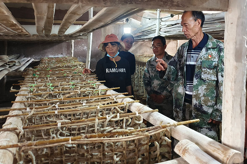 见证一个村庄的“蝶变”升级J9国际集团“三色渐变墙”